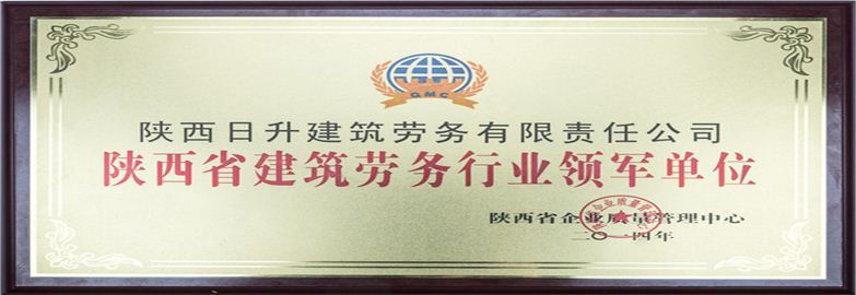 陜西省建筑勞務(wù)行業(yè)領(lǐng)軍單位