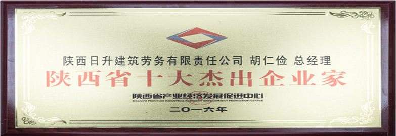 陜西省十大杰出企業(yè)家